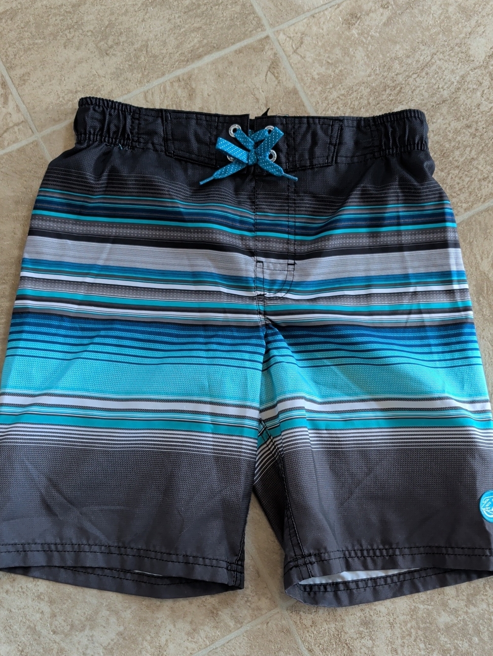 American Eagle Outfitters Black & Teal Striped Swim Trunks